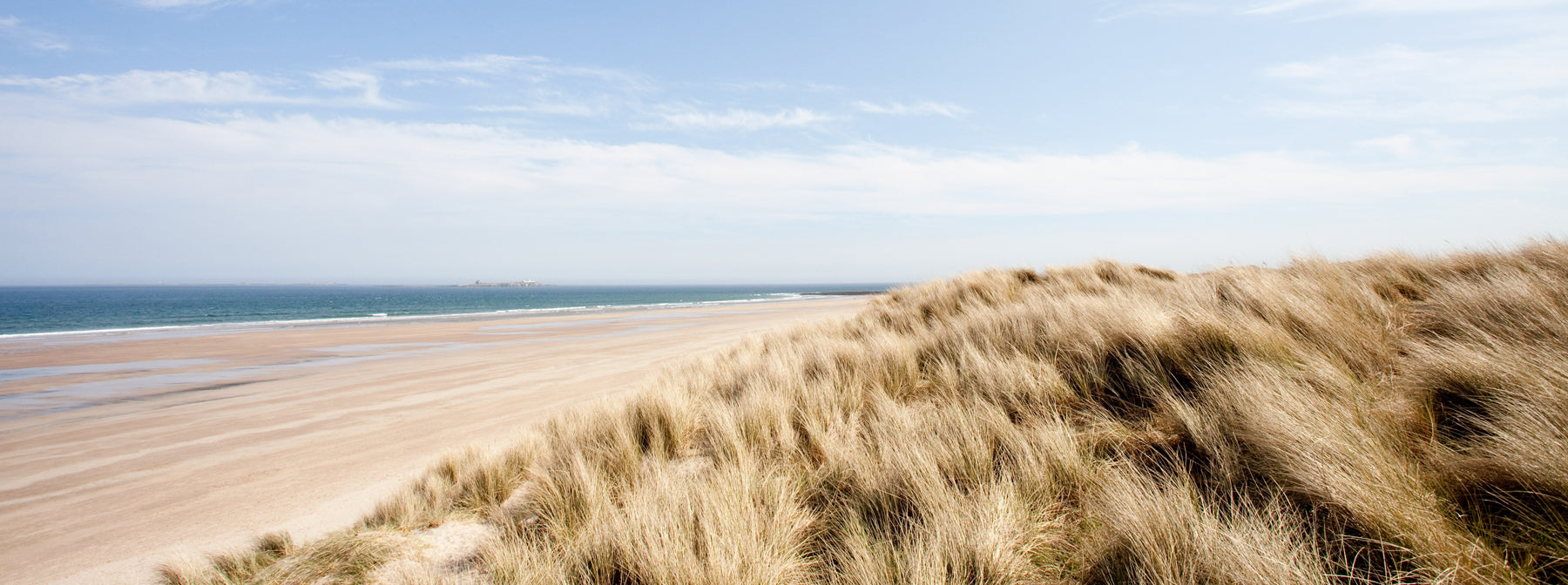 Beach ashes scattering tube in beach setting