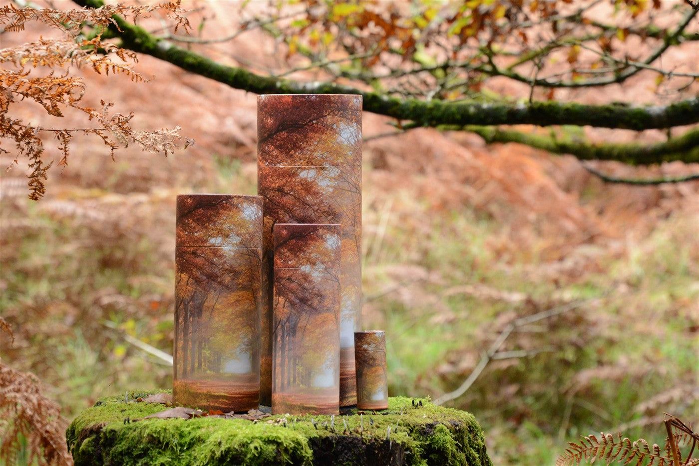A group of autumn design scatter tubes in an autumn setting with autumn leaves and moss