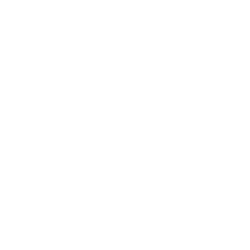 Beyond Ashes