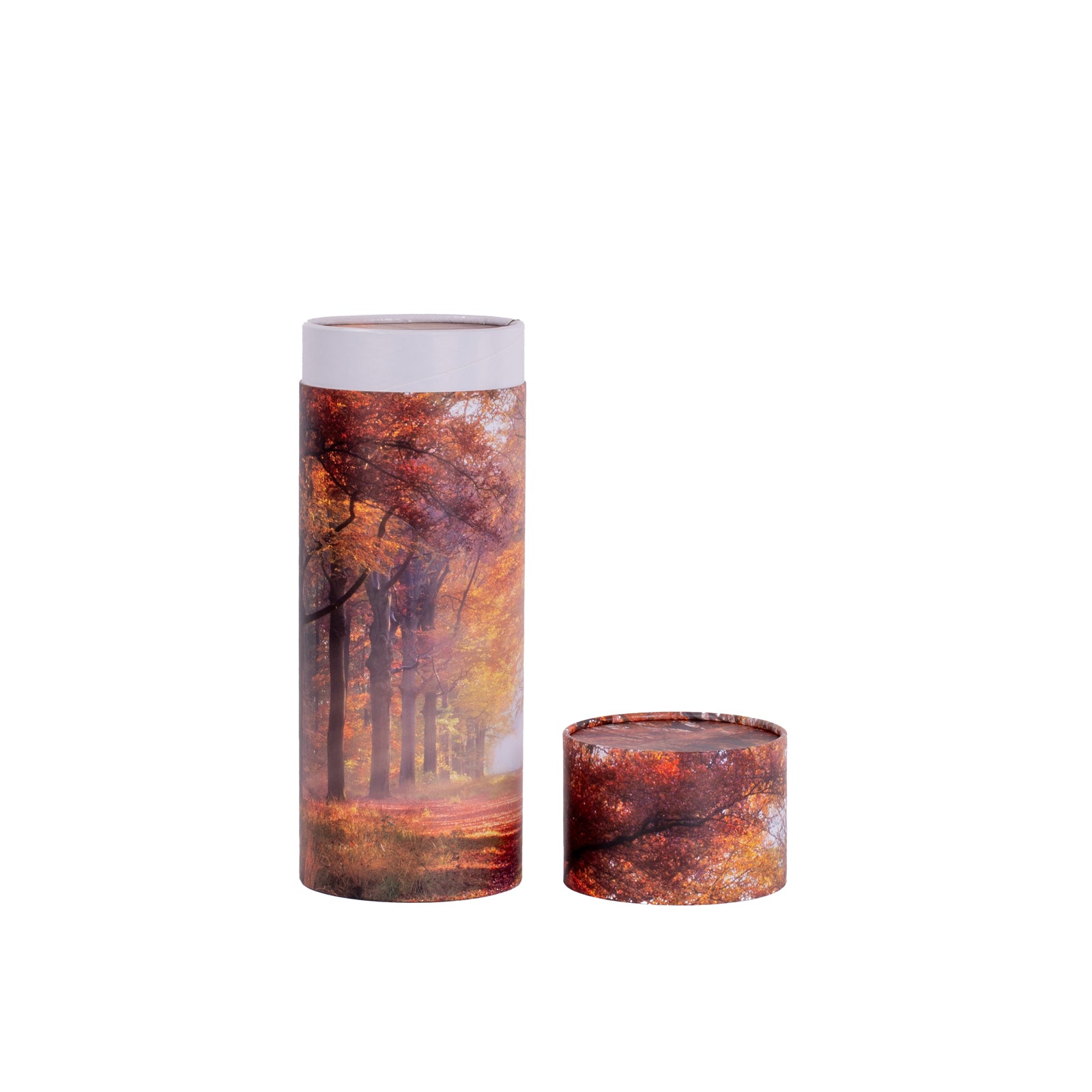 Autumn Scatter Tube Large