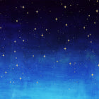 Starry night painting