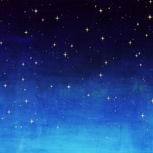 Starry night painting