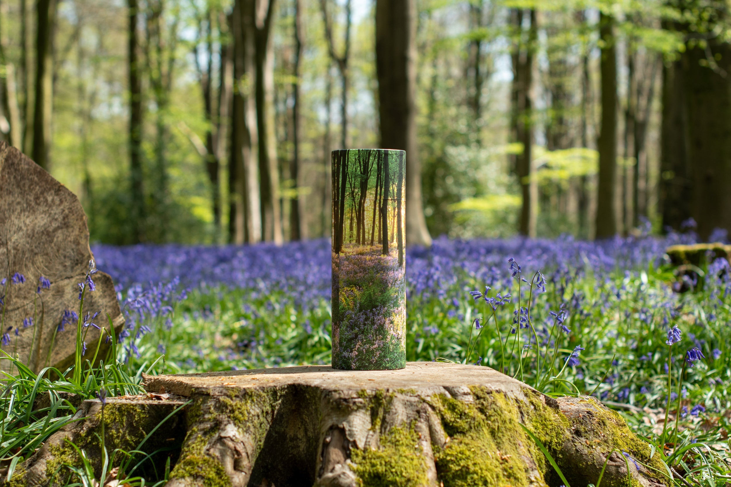 Scatter Tube in a bluebell woodland setting